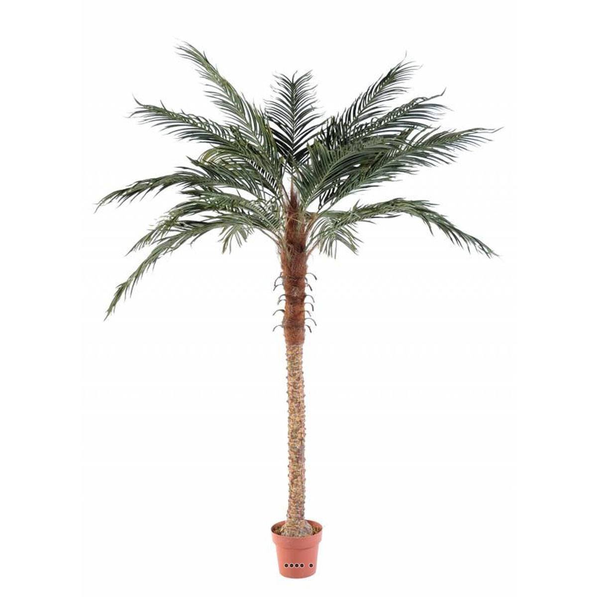 Palmier Phoenix Artificiel H210 cm D150 cm T vert, ARTIFICIELLES