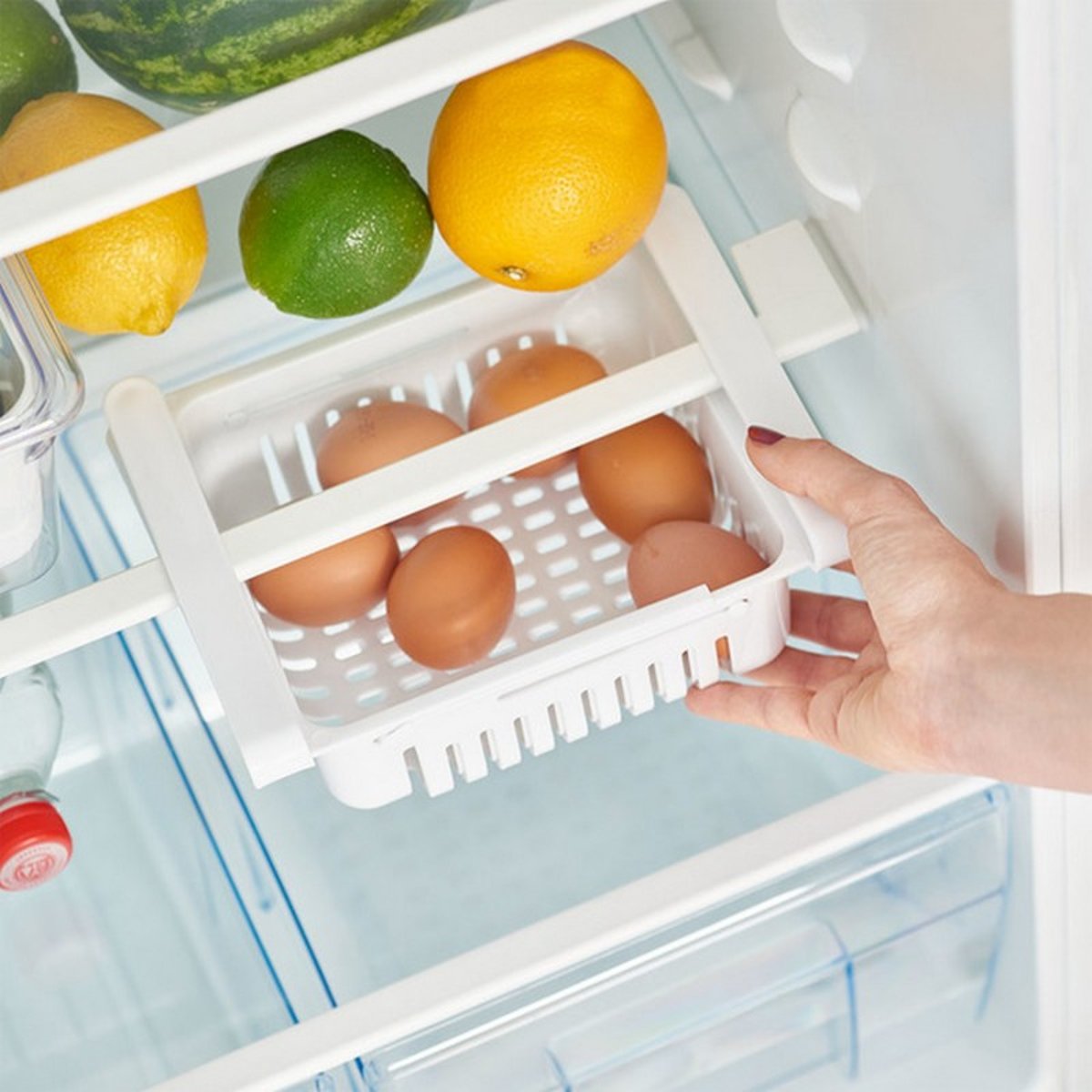 Etagère organiseur frigo blanc, ZELLER PRESENT