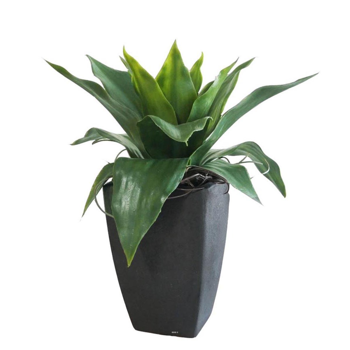 Agave Succulente plante artificielle cactée vert, ARTIFICIELLES