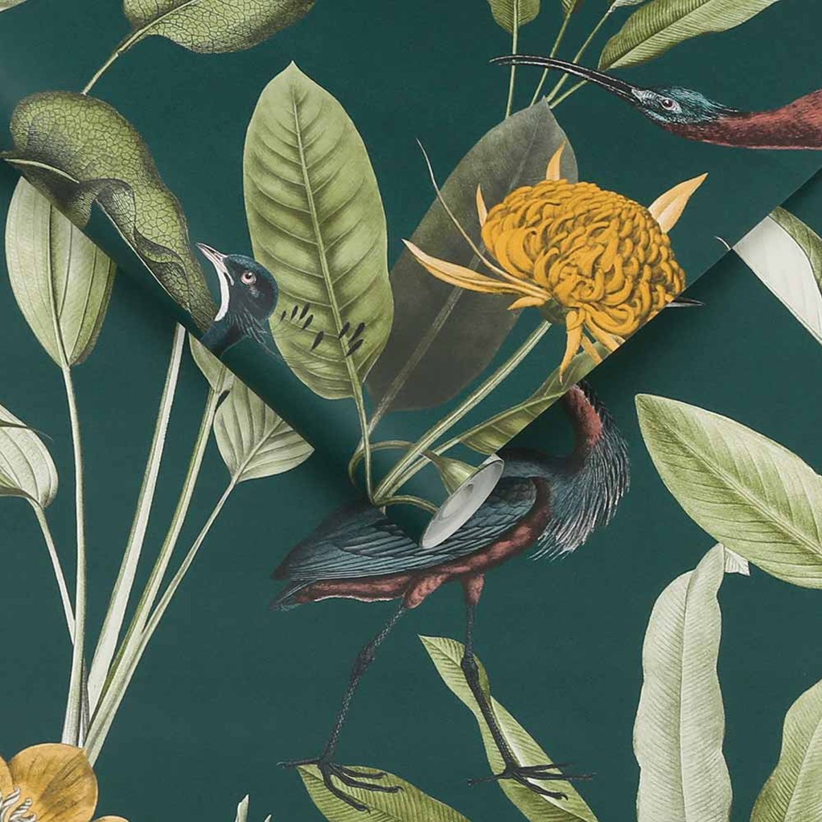 Papier peint Glasshouse Green vert, GRAHAM ET BROWN