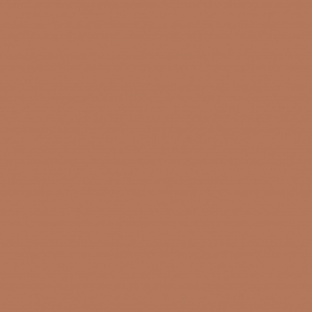 Active Emulsion Paint Squirrel squirrel, SANDERSON