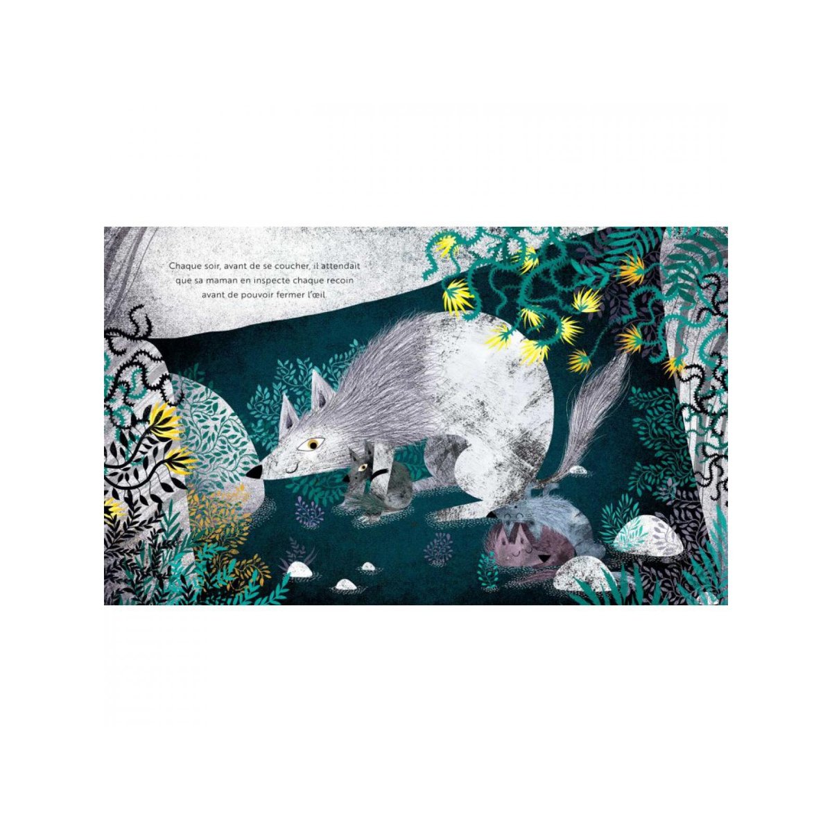 ALBUM ILLUSTRE - Emotions- UNE PEUR DE LOUP couleur unique, SASSI