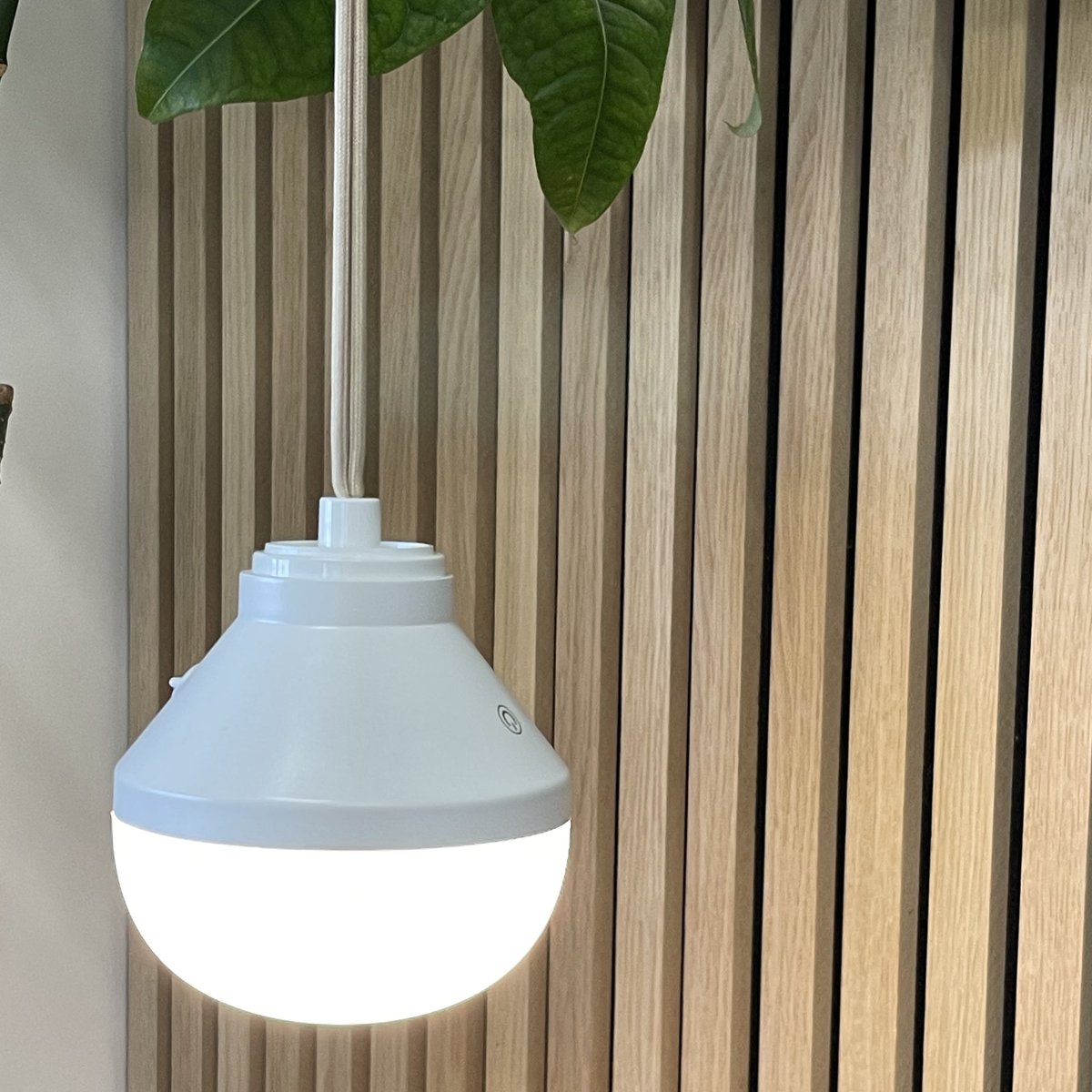 Ampoule LED rechargeable LYS blanc, LUMISKY