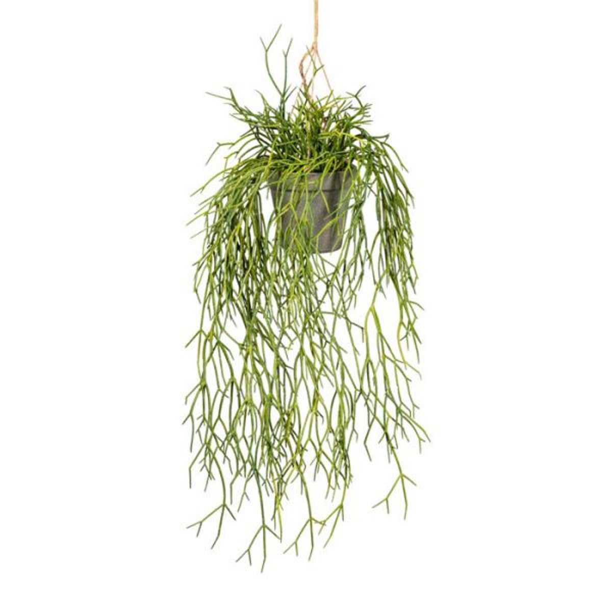 Fausse plante retombante rhipsalis L 60 cm v002239, ARTIFICIELLES
