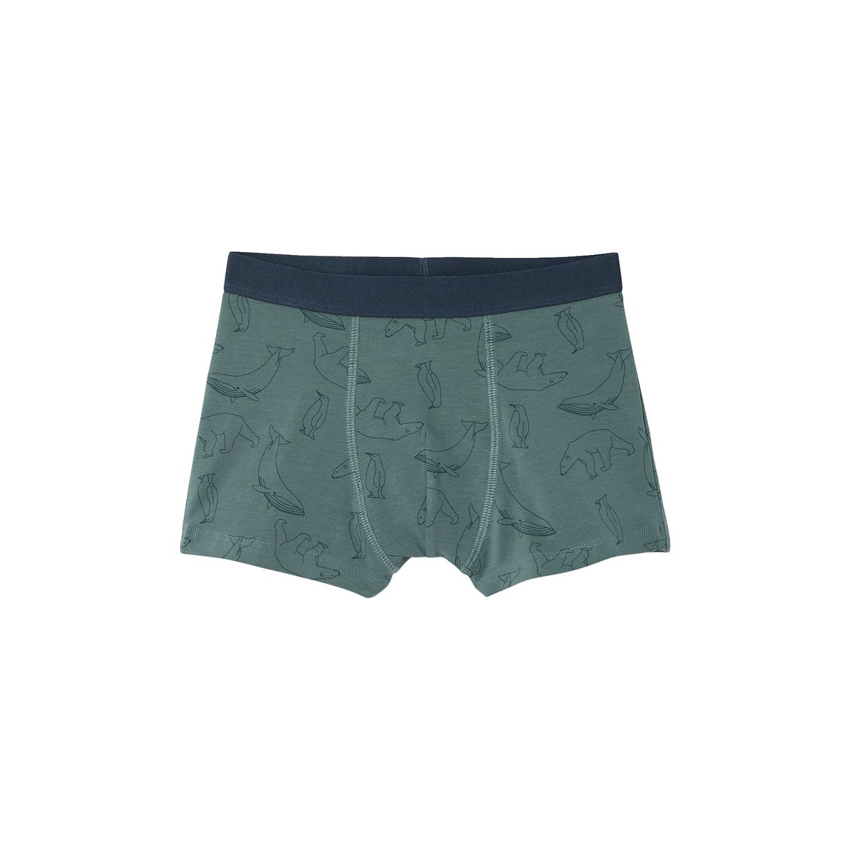 Lot de 7 Boxers Garçon Rayés et Imprimés Ours vert, VERTBAUDET