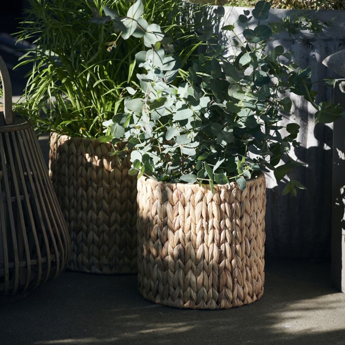 Set de 3 paniers cache-pot jacinthe  Roun bois clair, HOUSE DOCTOR