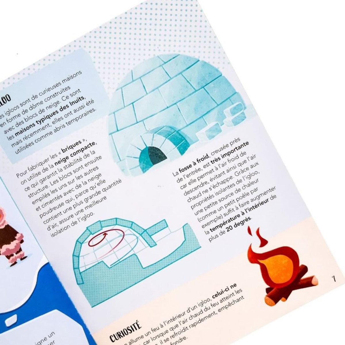Puzzle & Livre - La Planète en Danger, Les glaces multicolore, SASSI