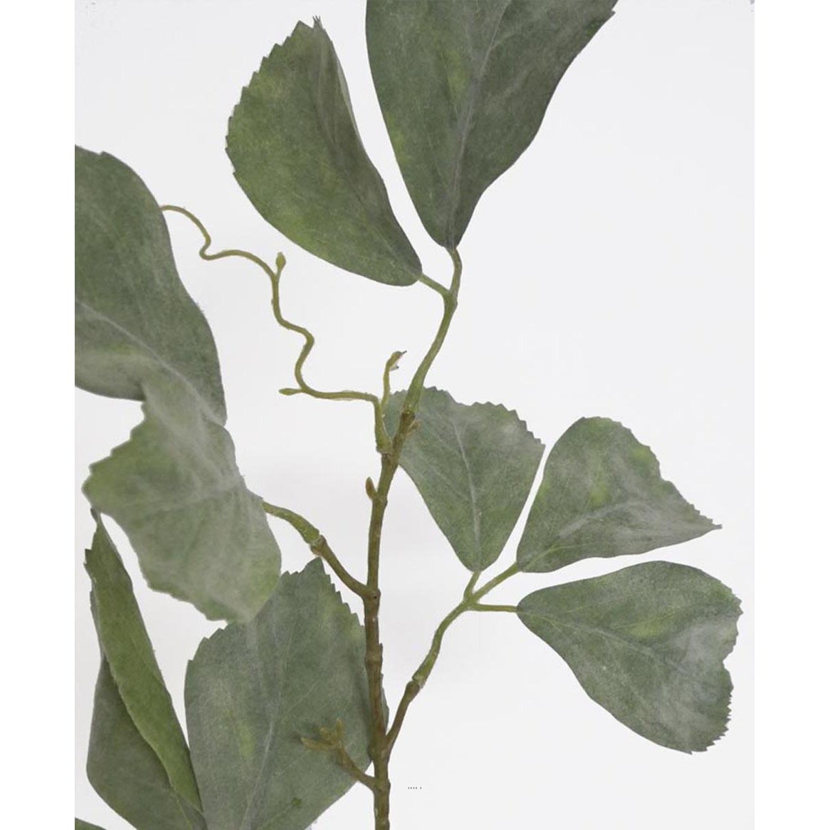 Branche de Parthenocissus artificielle v002239, ARTIFICIELLES