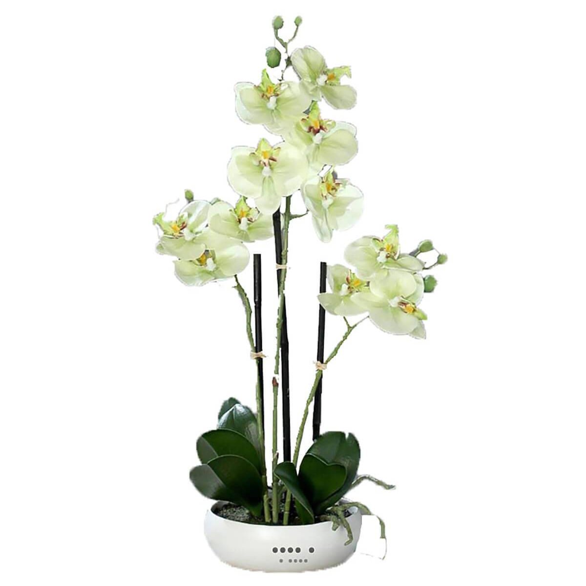 Orchidée factice 3 hampes coupe céramique H45 crème vert, ARTIFICIELLES