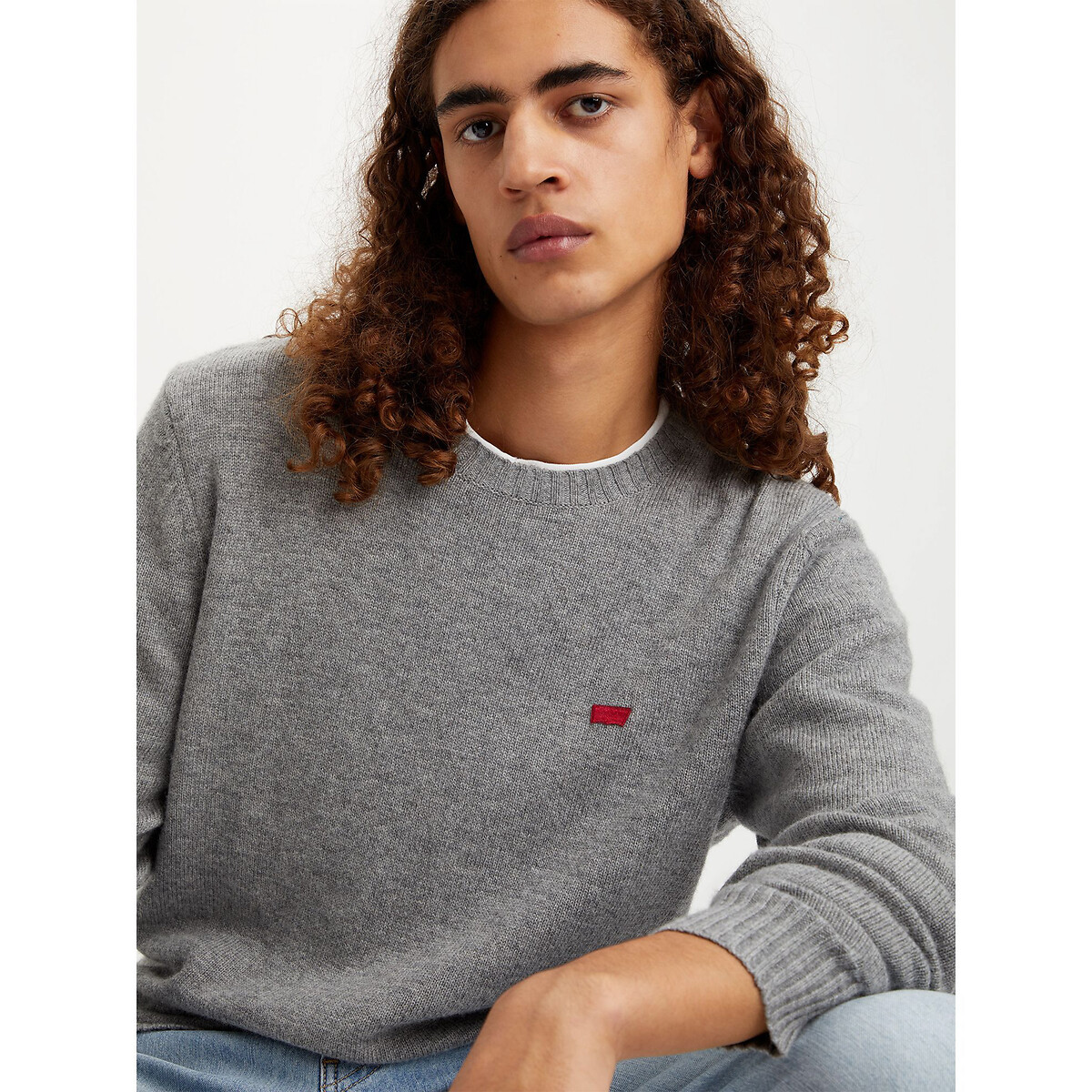 Trui met ronde hals, in wol A4320 grijs, LEVI'S