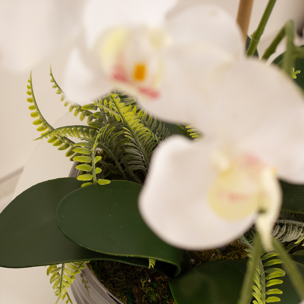 55cm Real Touch 5-Stem Orchid with Fern in Glass Pot white, SO'HOME