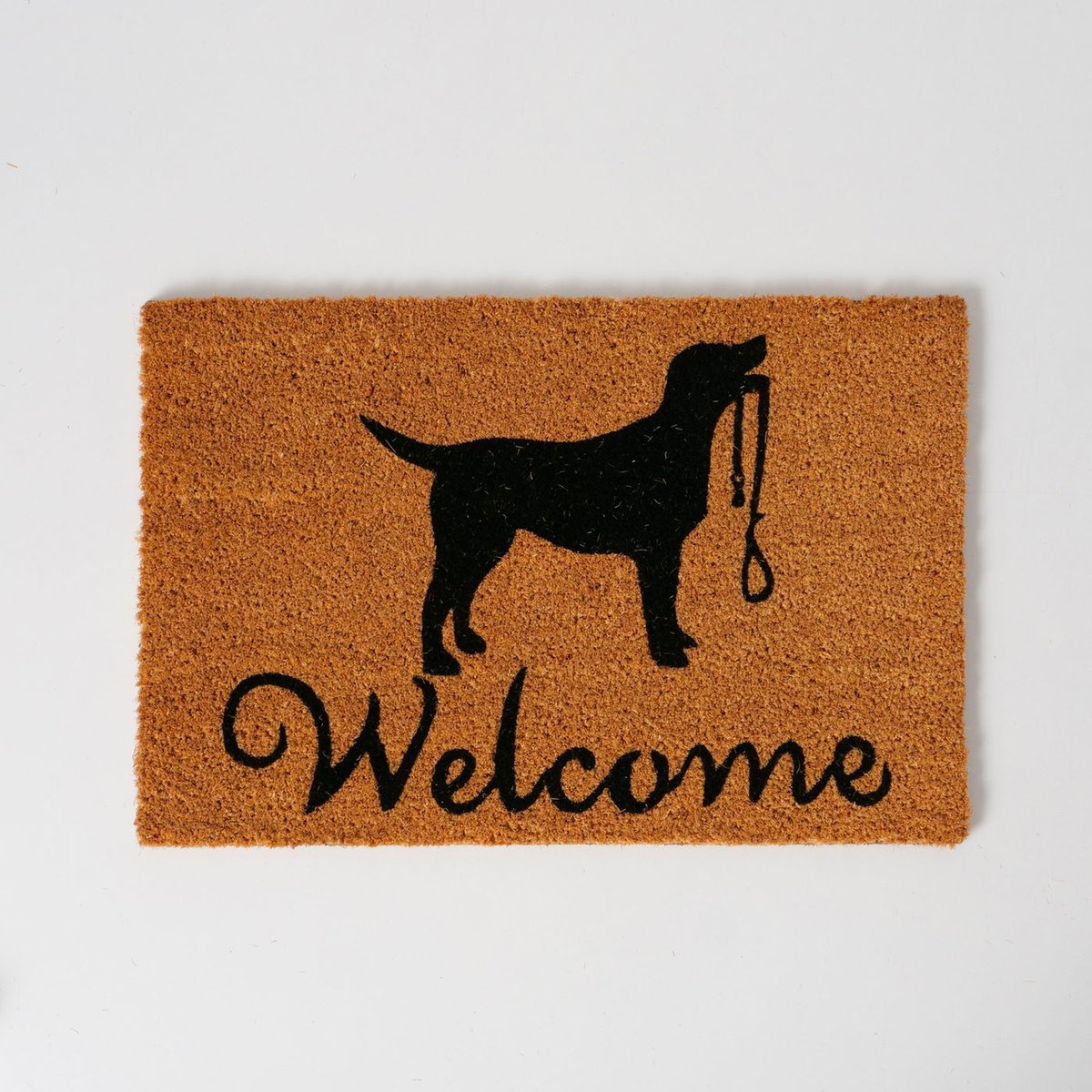 Paillasson coco chien welcome 60x40x1.5cm marron, WADIGA