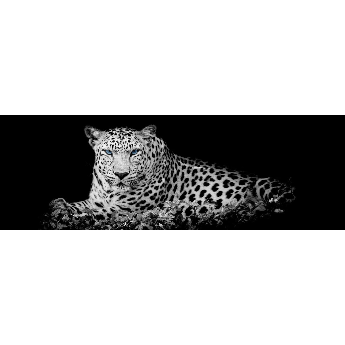 Tableau Mural Léopard Couché ANIMAUX tableaux sur toile-noir & blanc, CEANOTHE