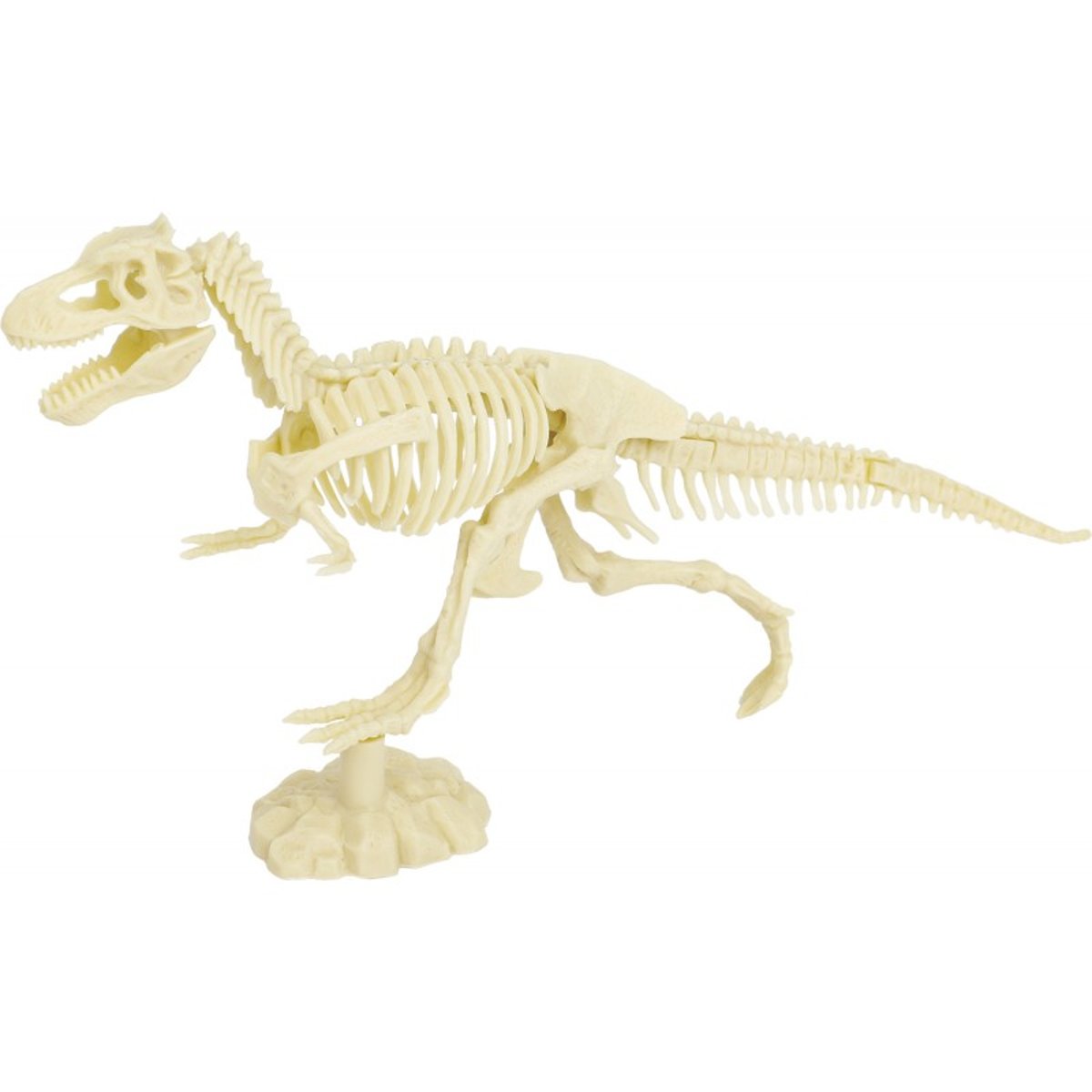 Kit Paleo - Tyrannosaure noir, ULYSSE