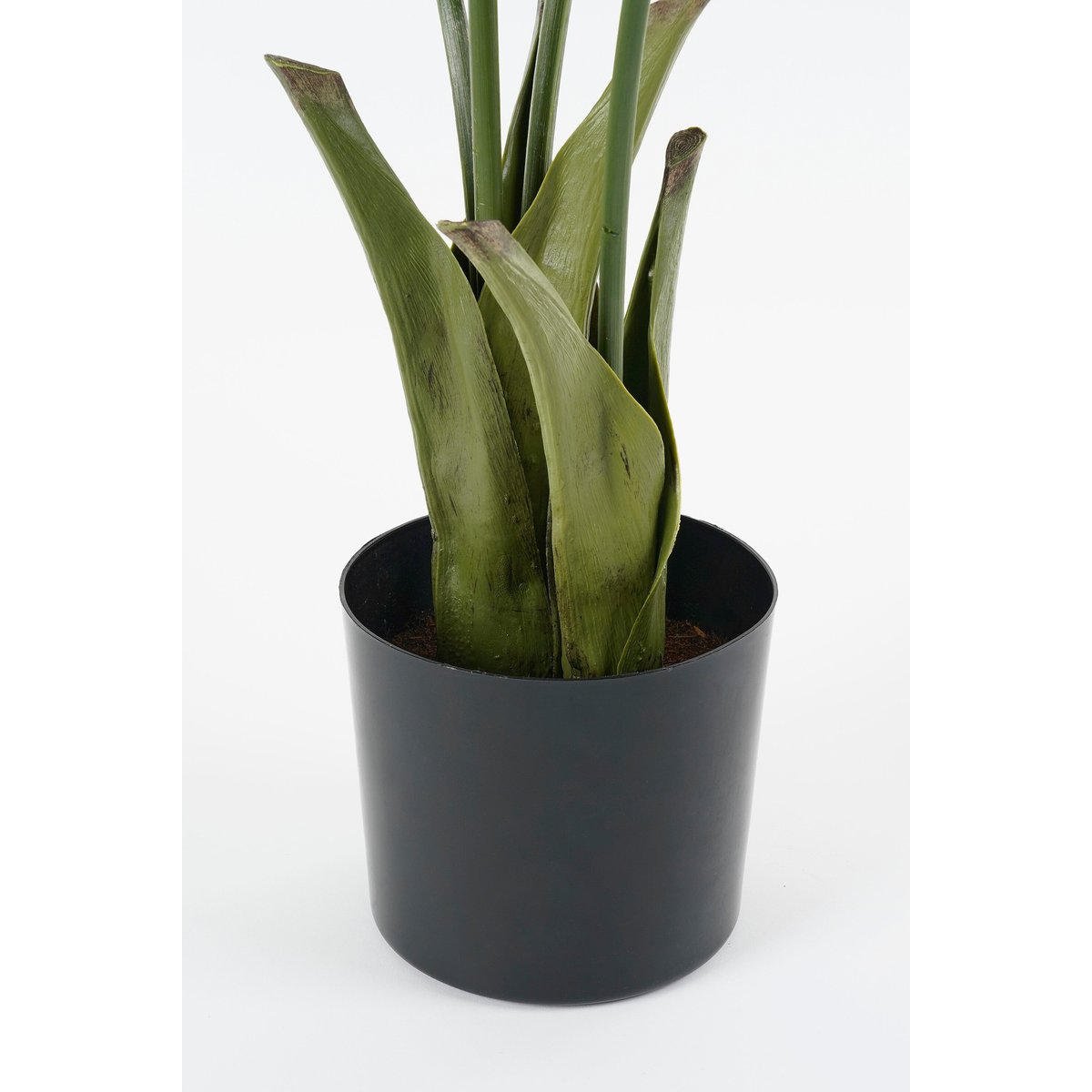 Plante artificielle FISHTAIL PALM vert, MICA DECORATIONS
