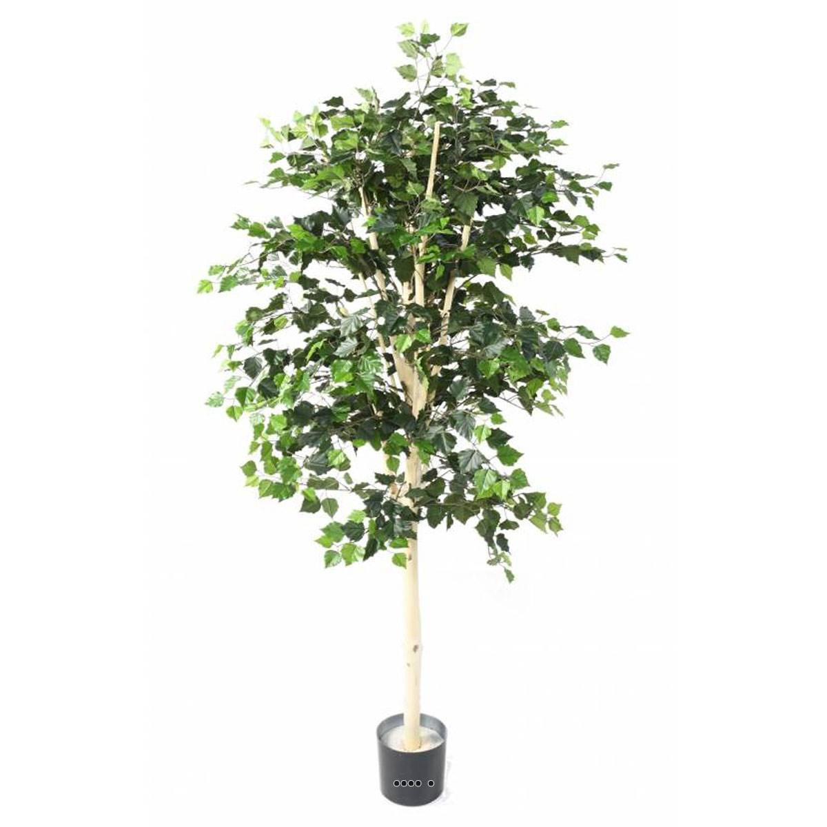 Bouleau artificiel en pot, H 170 cm, D 80 v002239, ARTIFICIELLES