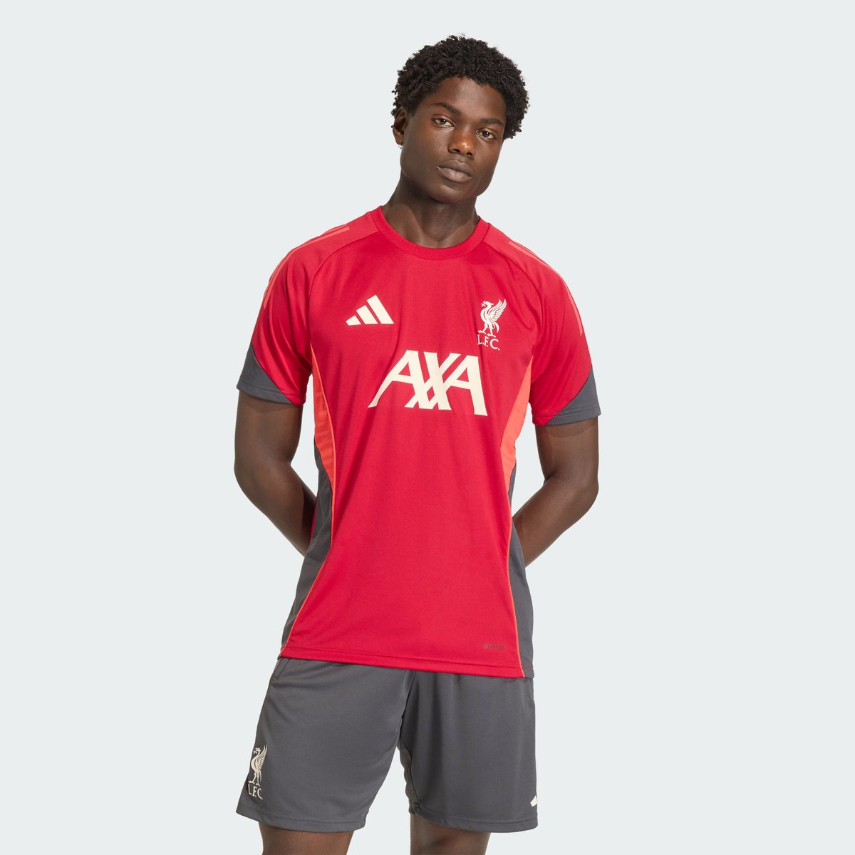 Maillot De Training Liverpool Fc Tiro 25 Competition Maillot De Training Liverpool Fc Tiro 25 Competition strawberry red, adidas Performance