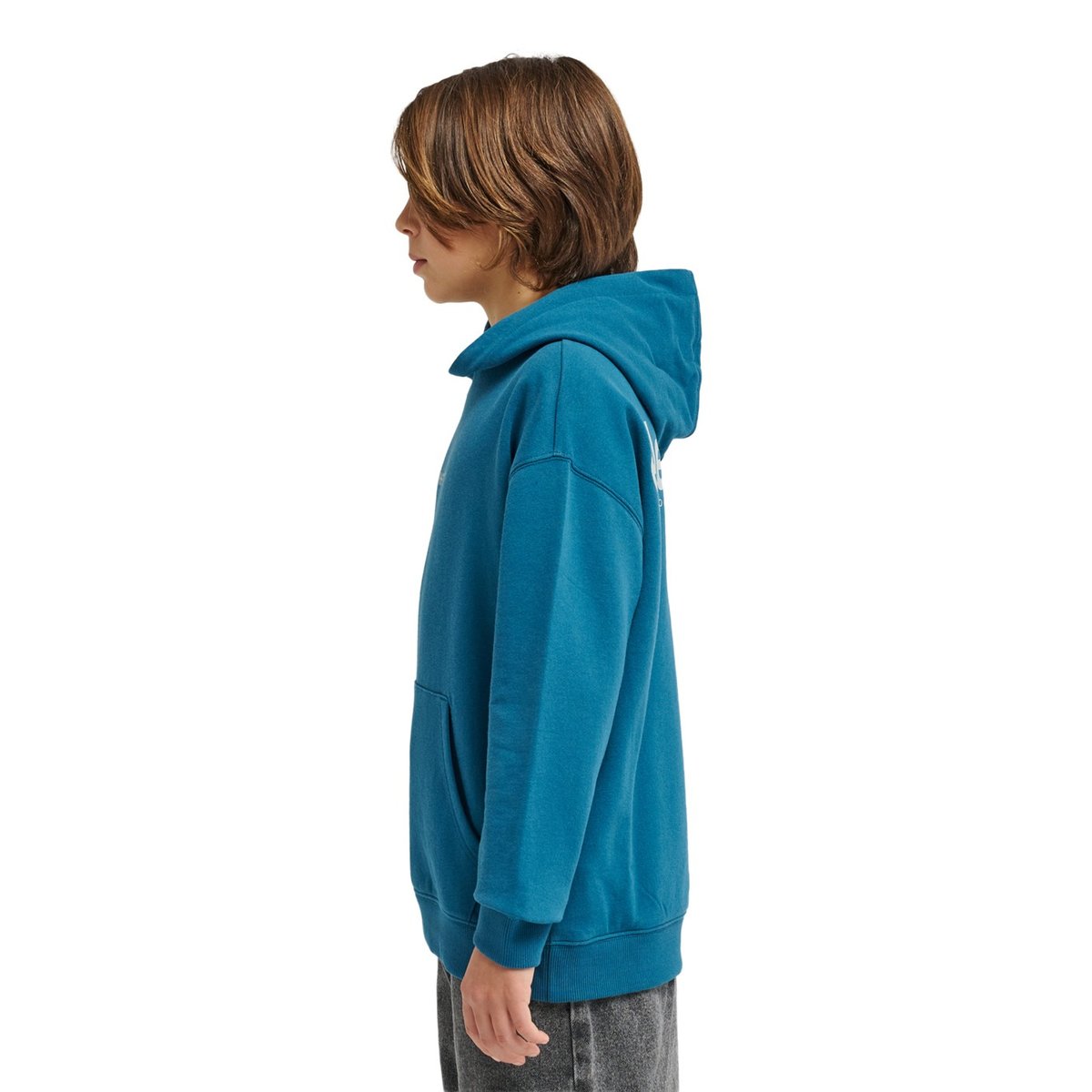Sweat à capuche LOWCASE bleu mallard blue, ELEMENT