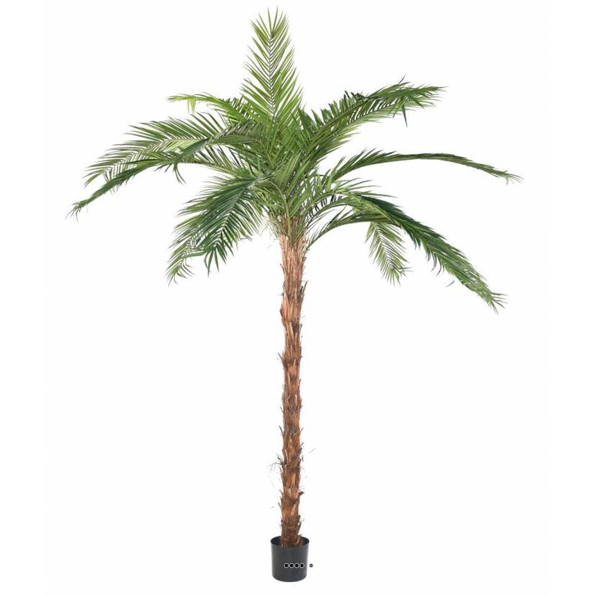 Palmier Phoenix Artificiel H 370 cm D 280 cm vert, ARTIFICIELLES