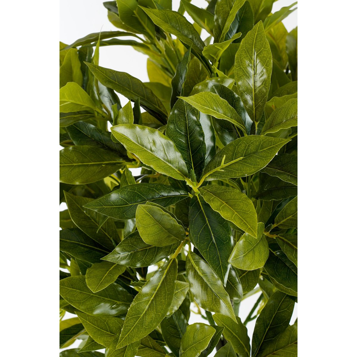 Plante artificielle LAUREL vert, MICA DECORATIONS