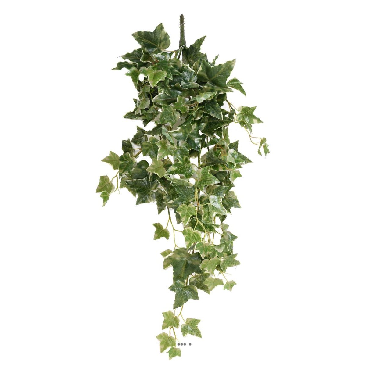 Lierre artificiel Hedera Helix en chute H 80 blanc-vert, ARTIFICIELLES