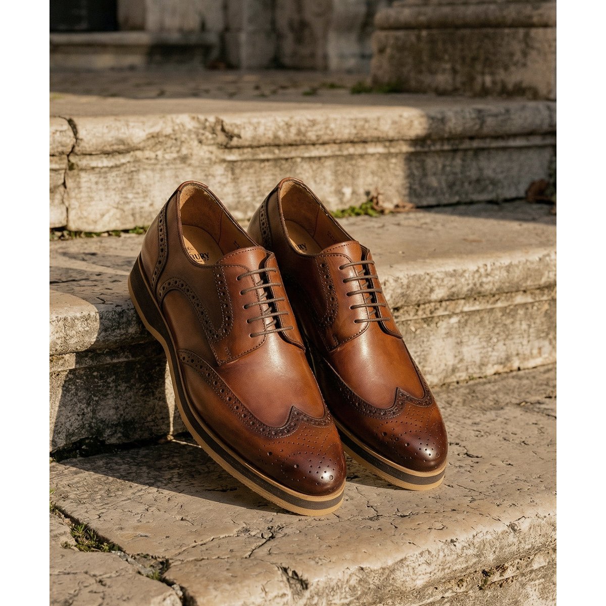 Derby ELIAS marron, FINSBURY