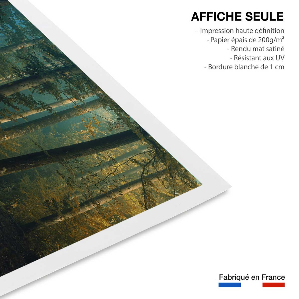 Affiche sous-bois en octobre affiche seule, HEXOA