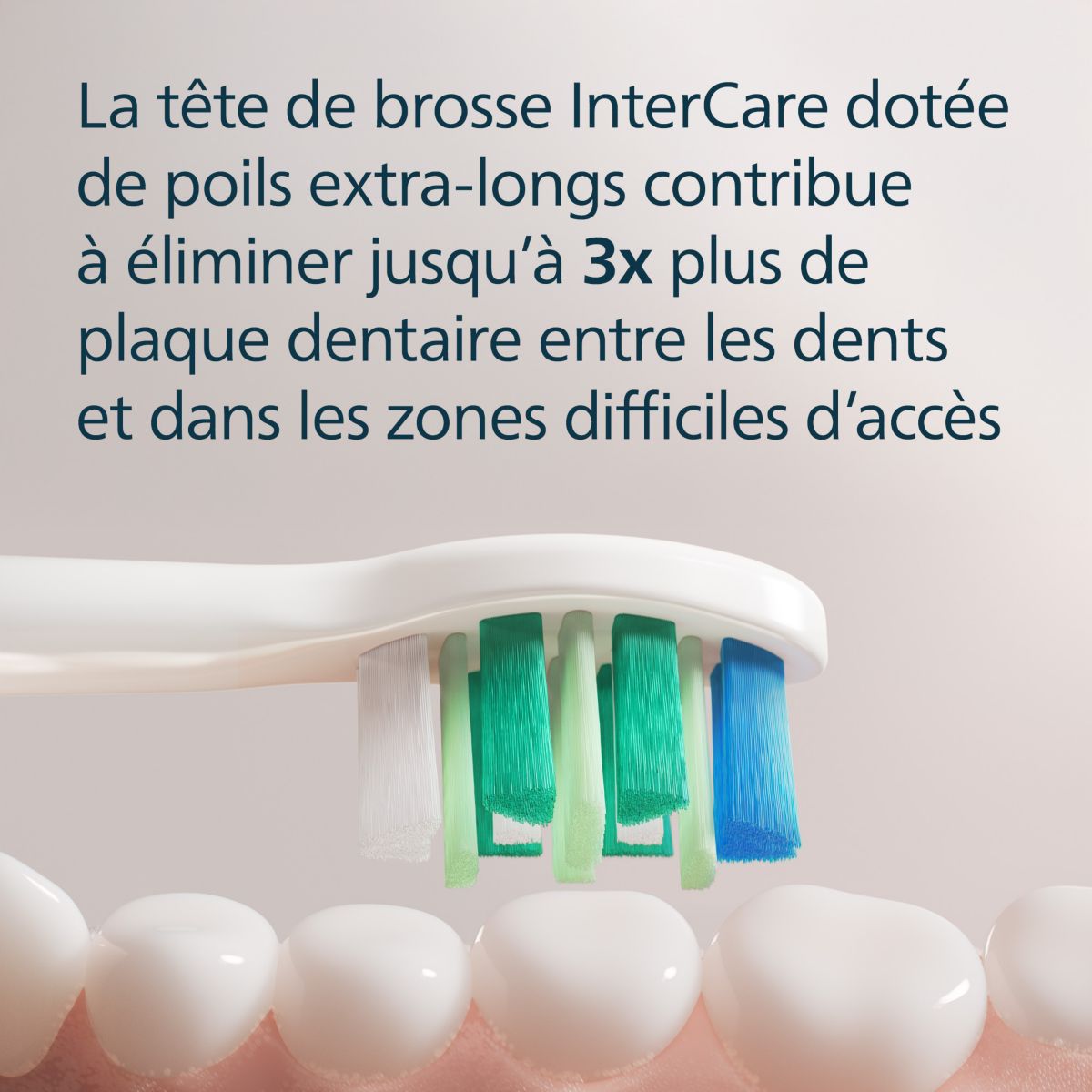 Brossette dentaire Sonicare lot de 6 InterCare blanc couleur unique, PHILIPS