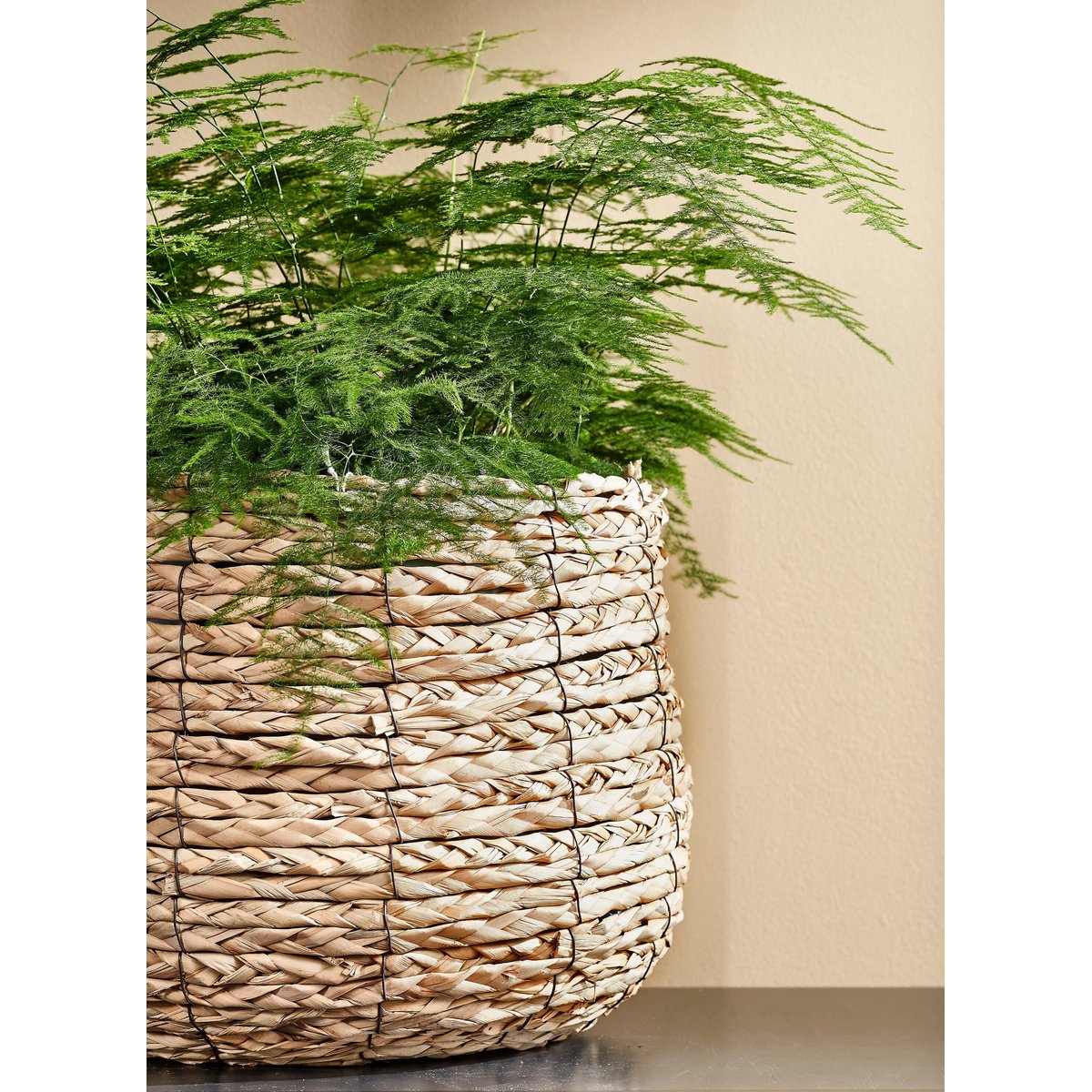 Panier à plantes en jonc de mer tressé Ø30 cm AVALON marron clair, MICA DECORATIONS