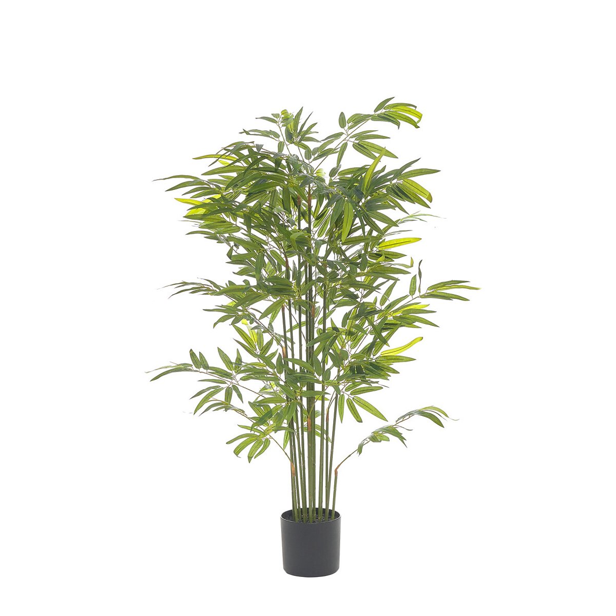 Planta artificial "Bambu" 180cm, BORGHESI verde, BORGHESI