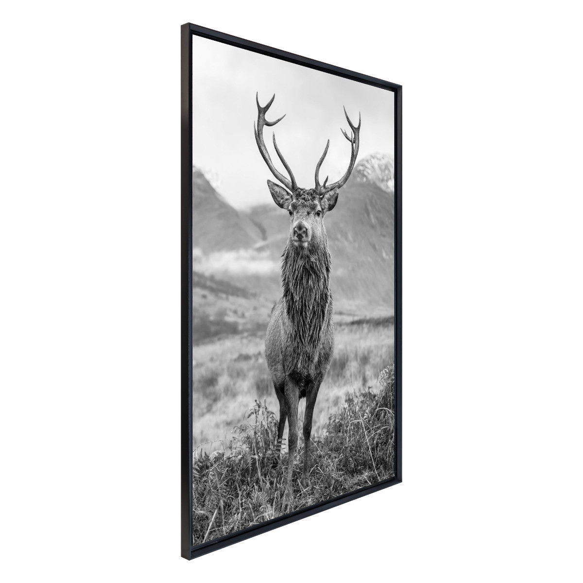 Tableau Mural Encadré Portrait Cerf Élégant ANIMAUX tableaux encadrés, CEANOTHE