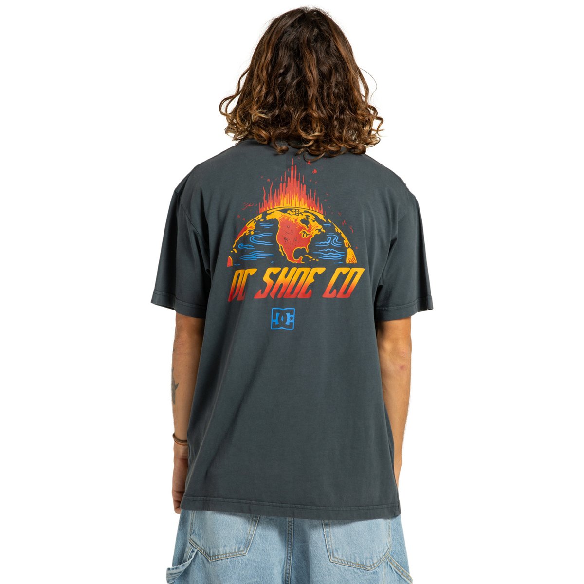 T-shirt à manches courtes FREE FALL. multi black acid, DC SHOES