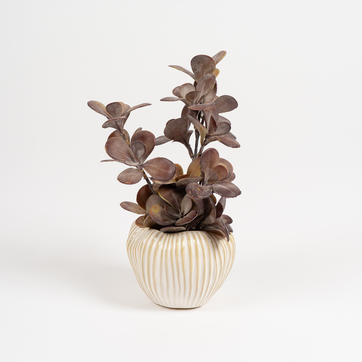 30cm Burgundy Dusty Eucalyptus Arrangement burgundy, SO'HOME