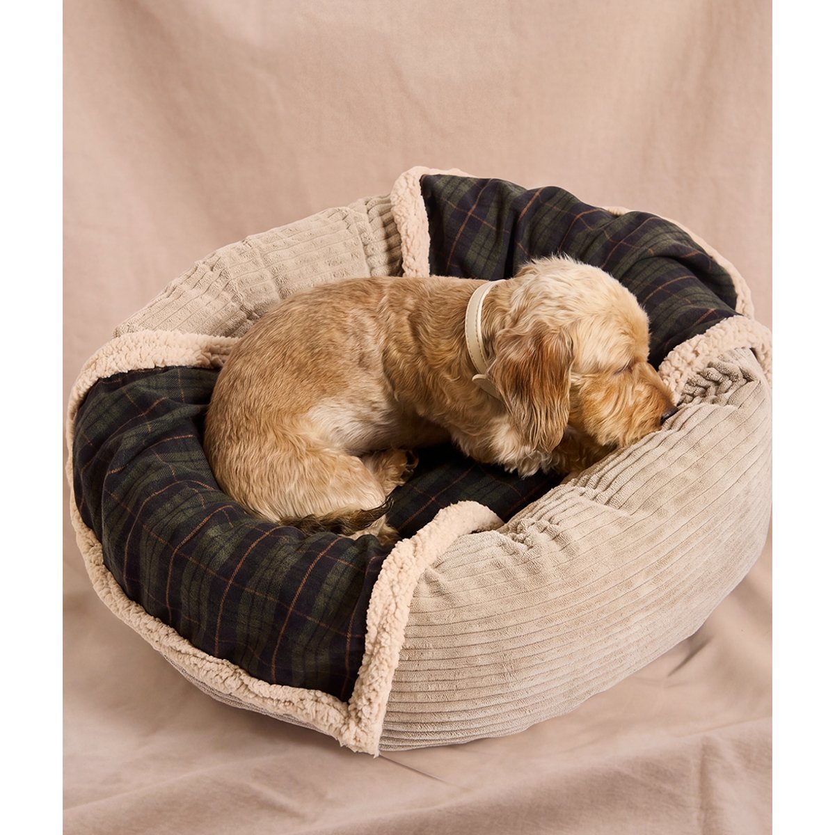 Couverture pour chien tartan verte, Toia vert, CAFIDE