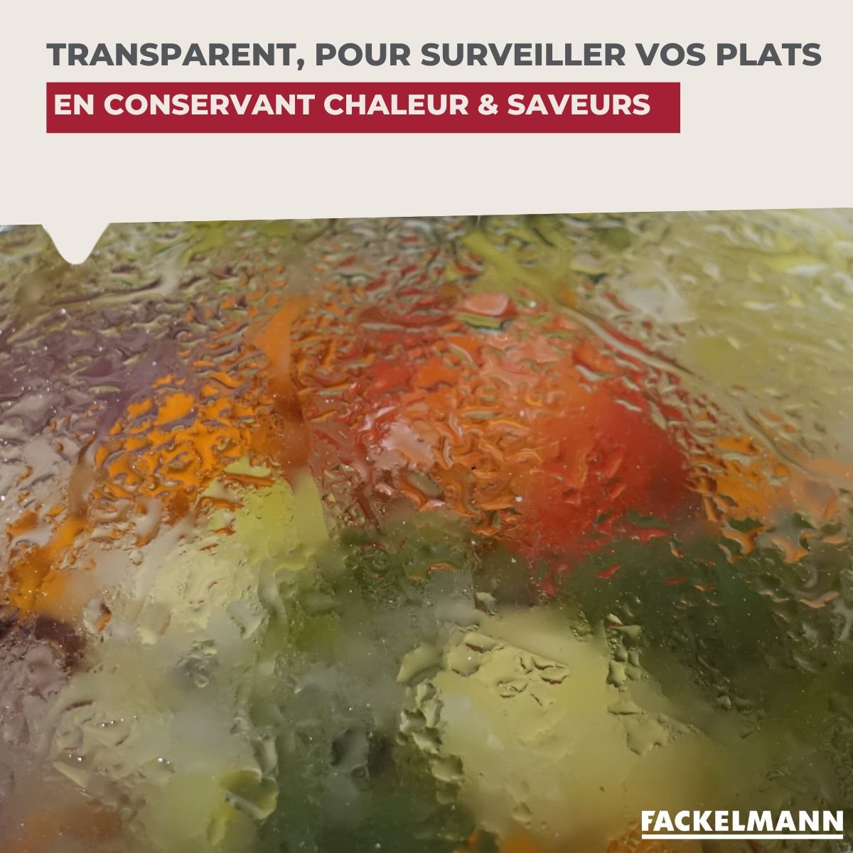 Couvercle adaptable de 24 à 28 cm en verre et silicone noir,transparent, FACKELMANN