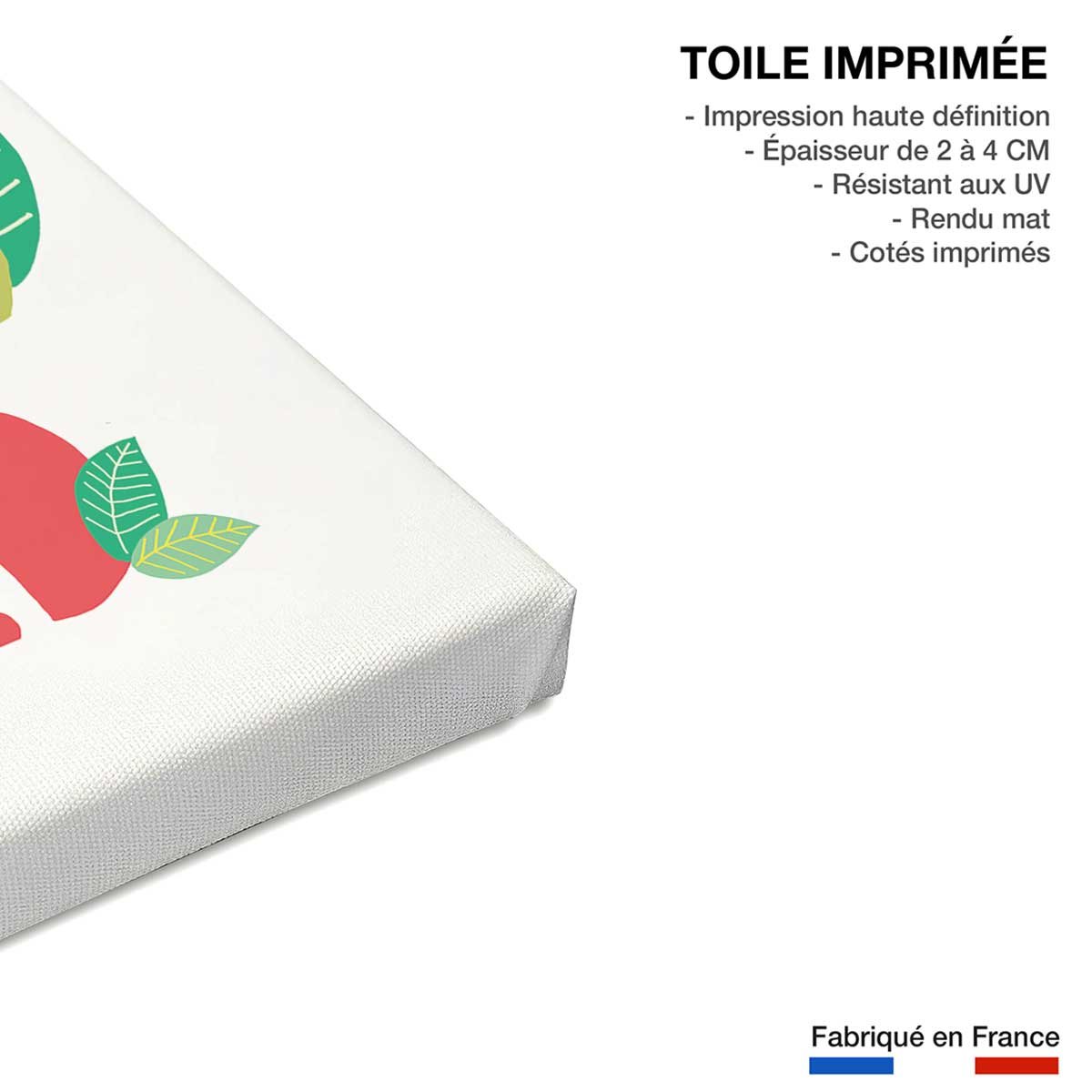 Tableau enfant lion born to be wild toile imprimée, HEXOA