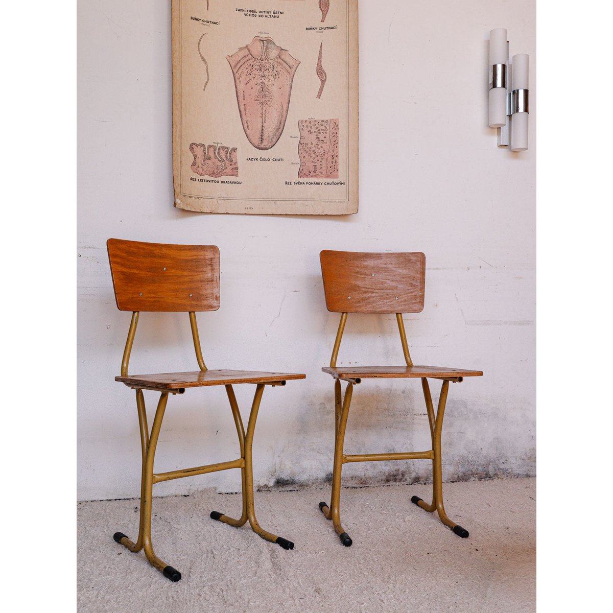 Chaise en bois clair Claude N°861 - Bon état bois clair, DEBONGOUT