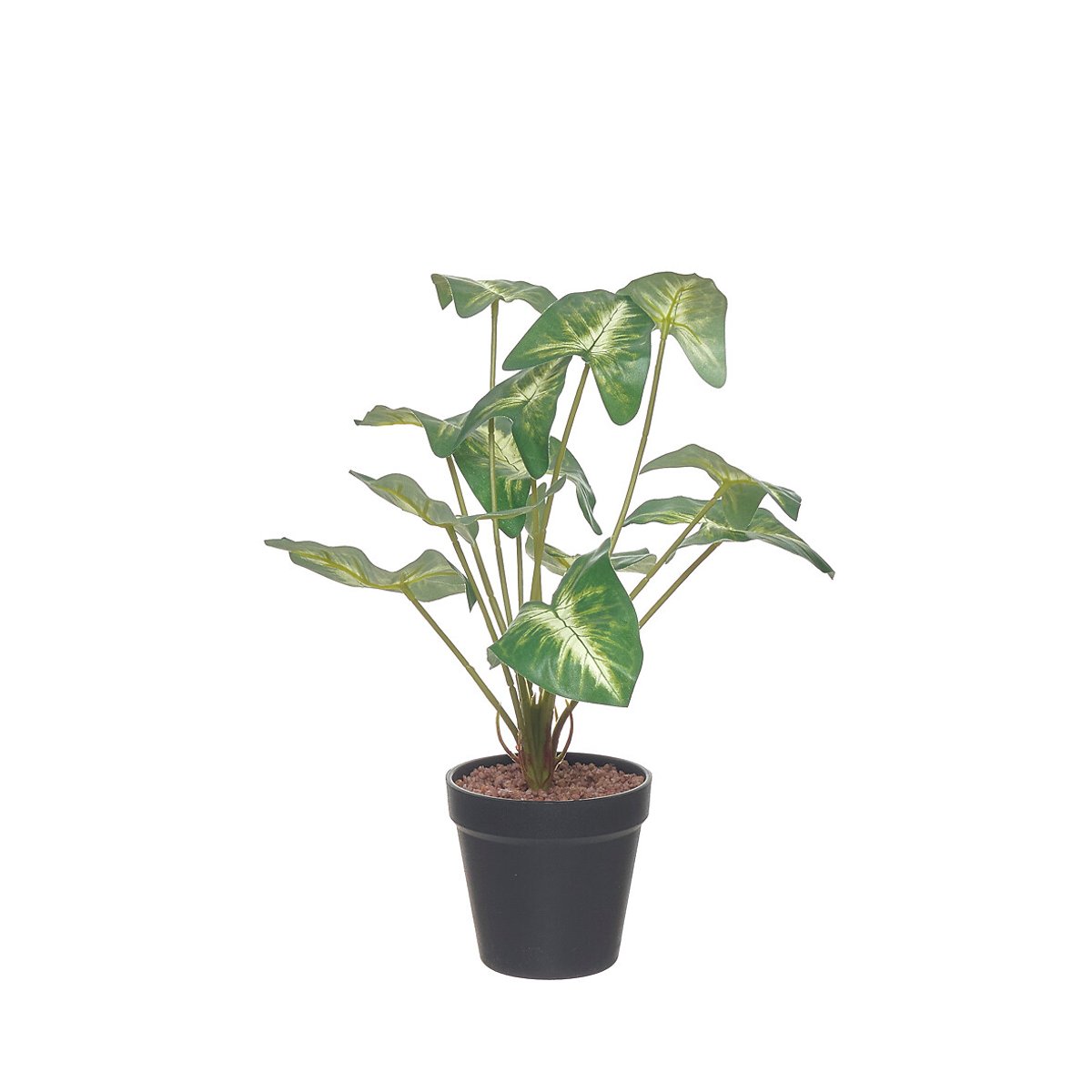 Planta artificial "Syngonium" 37cm, BORGHESI verde, BORGHESI