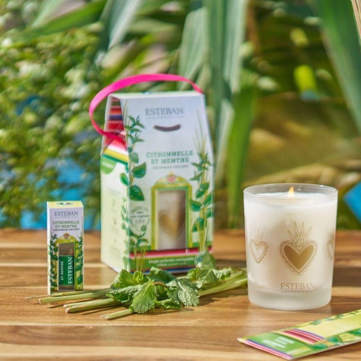 Parfum d'intérieur - Concentré de parfum Citronnelle & Menthe 15 ml transparent, ESTEBAN