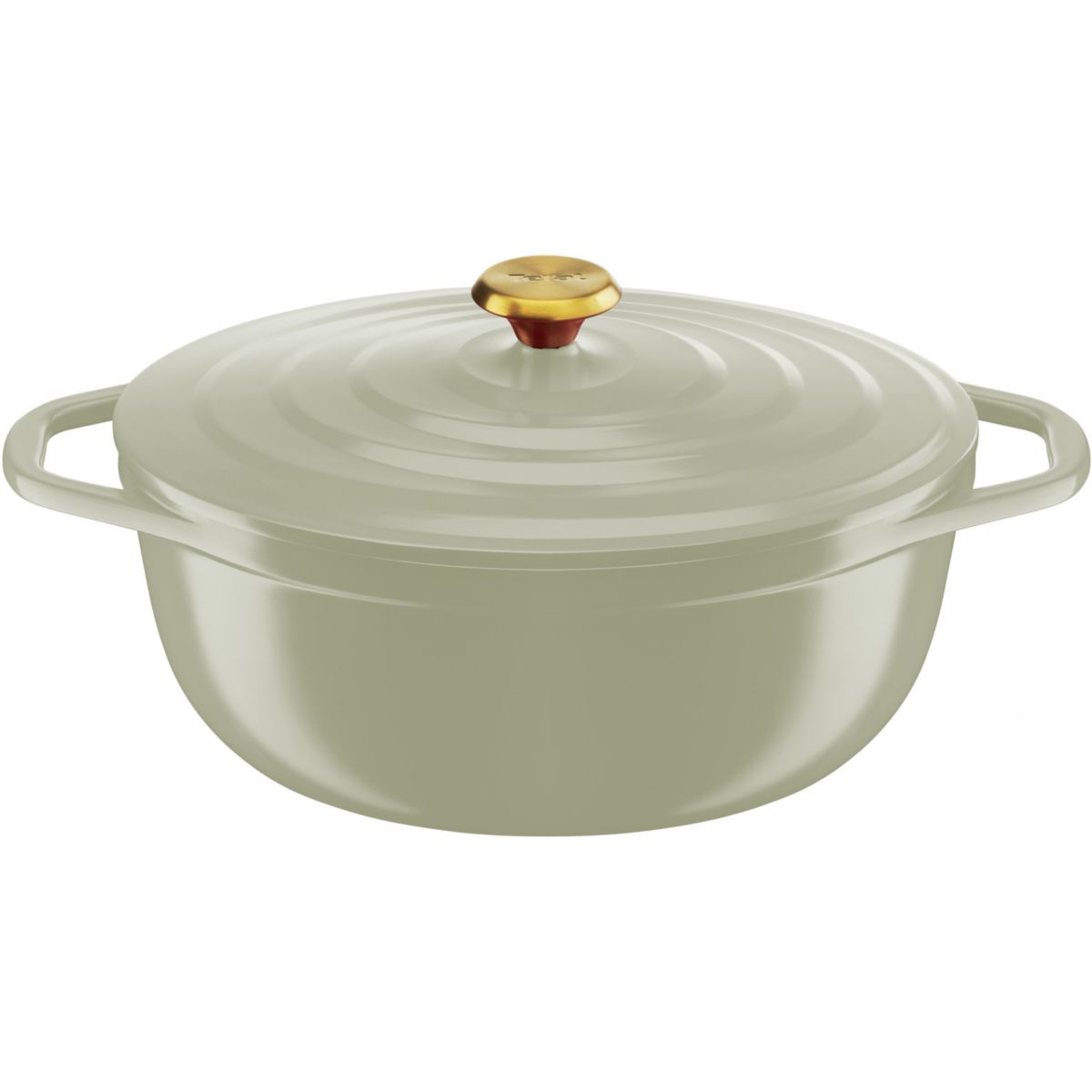 Cocotte AIR SOFT LIGHT 30X23cm Vert Lichen couleur unique, TEFAL