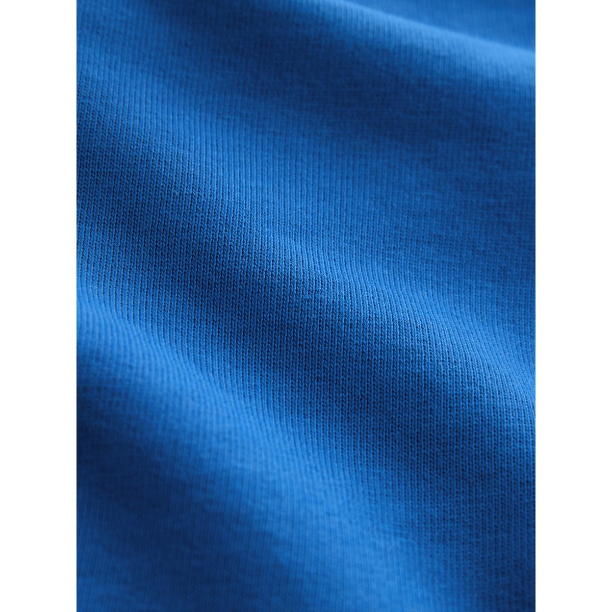 Sweat ras du cou imprimé bleu cobalt, NEXT