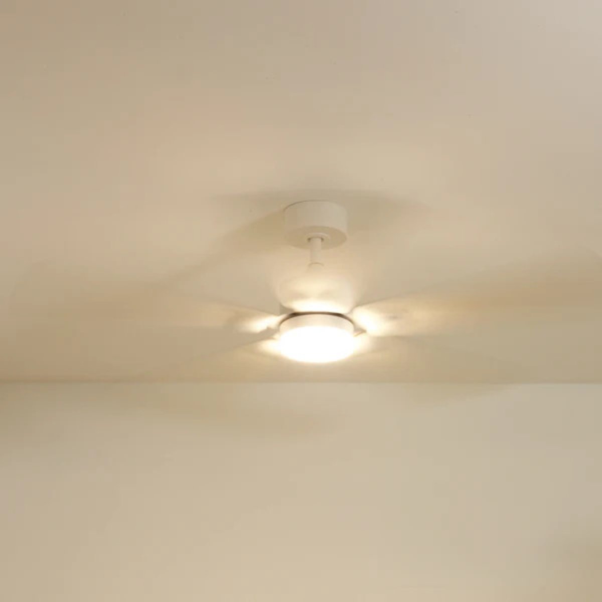 Plafonnier ventilateur en bois de peuplier MISTRAL bois clair, ATELIER LOUPIOTE