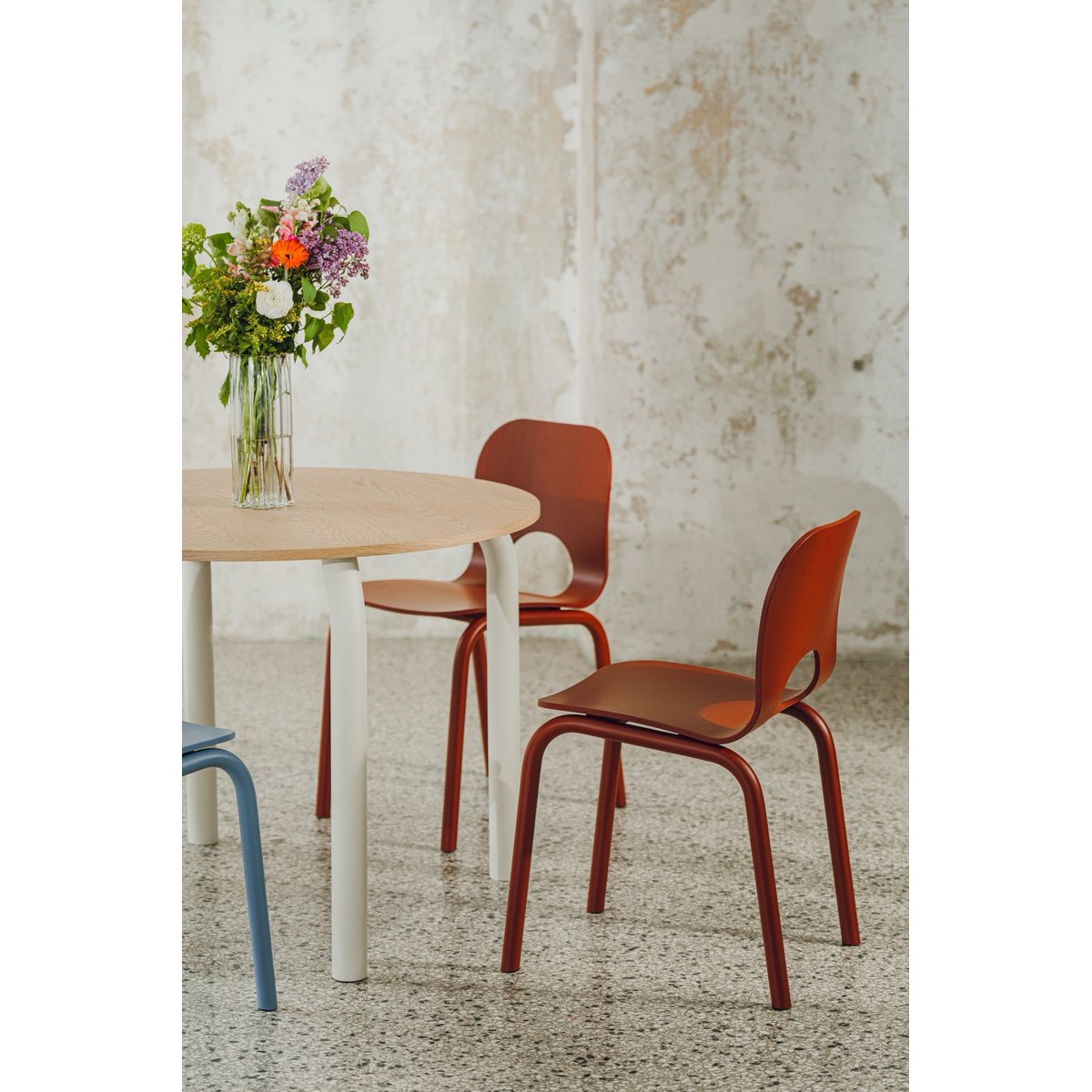 Chaise de salle à manger en hêtre ATTO rouge marron, NOO.MA