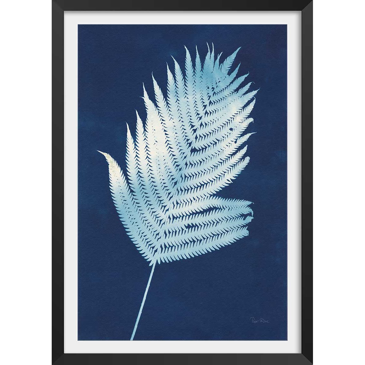 Affiche Fougère d'argent affiche + cadre en bois - noir, HEXOA