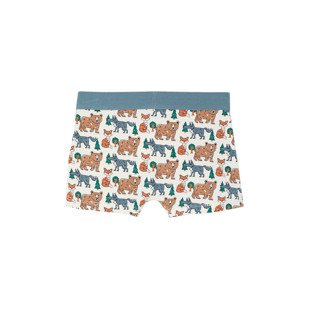 Lot de 5 boxers beige, VERTBAUDET