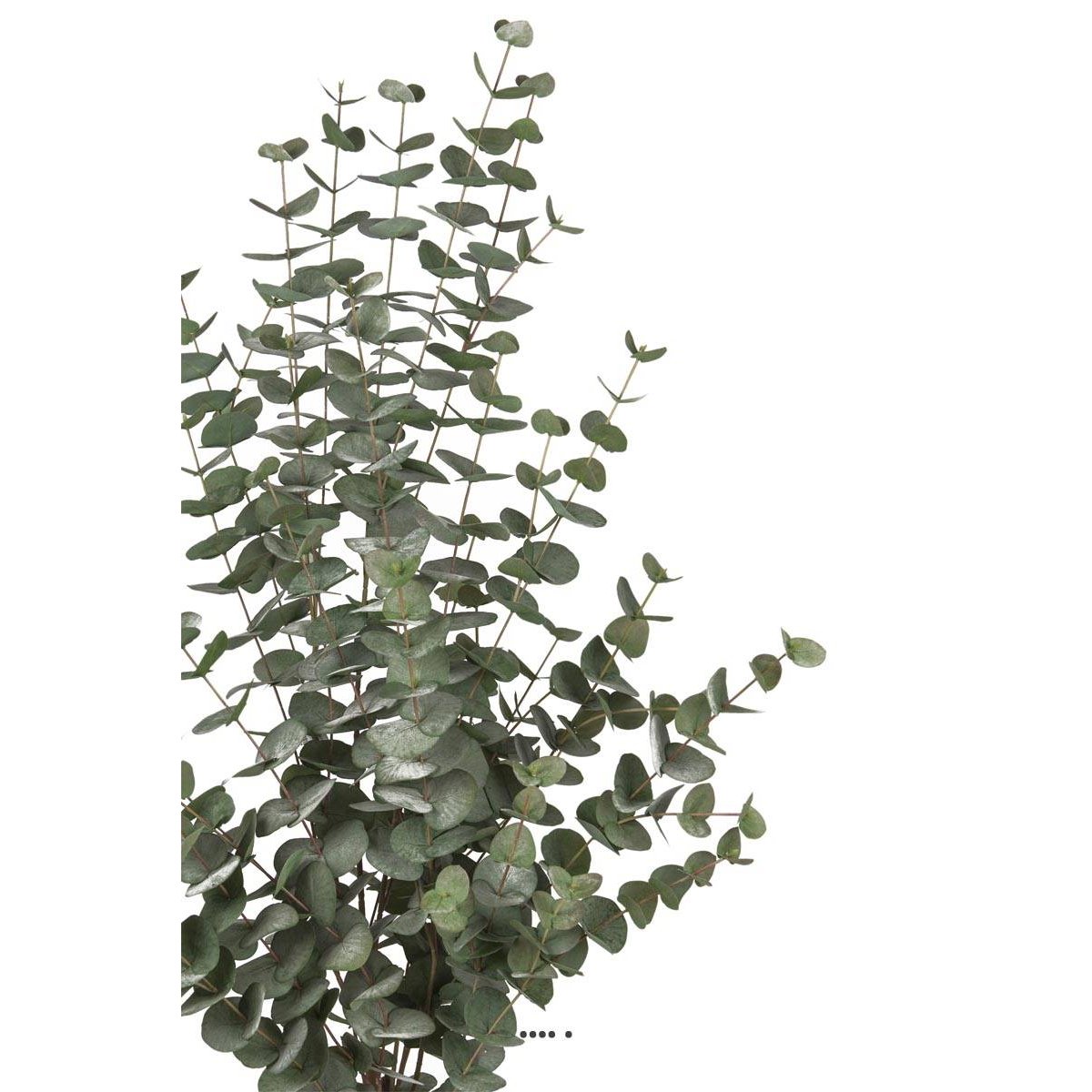 Eucalyptus cinerea artificiel en pot H 110 cm blanc, ARTIFICIELLES
