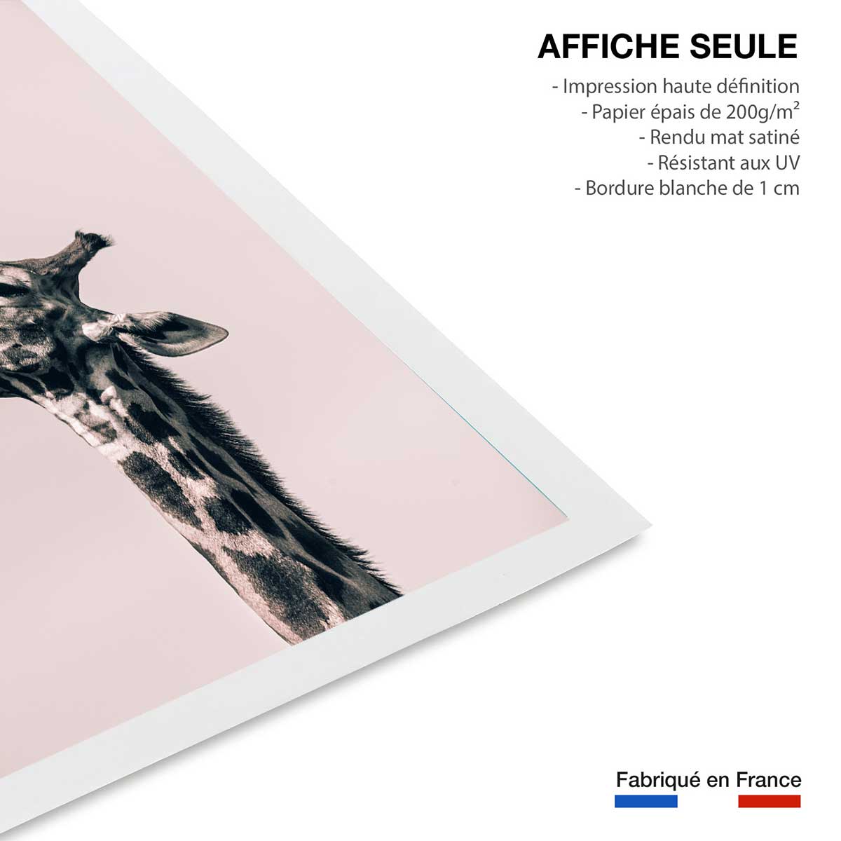 Affiche girafe ma reine affiche seule, HEXOA
