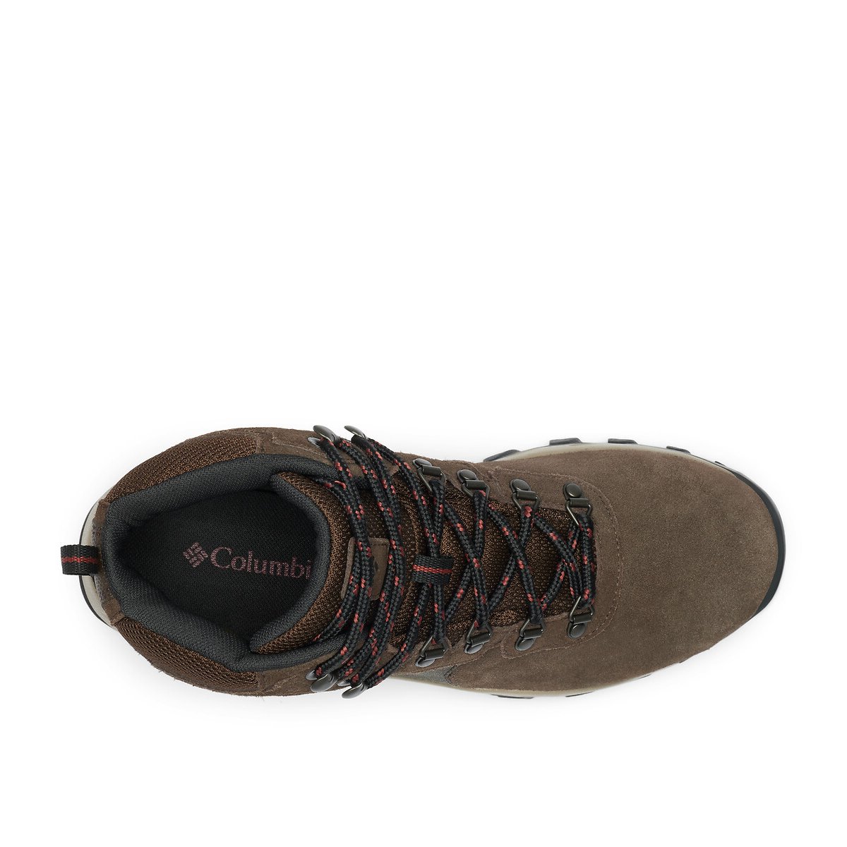 Newton Ridge™ Plus II Suede Hiking Shoes dark brown, COLUMBIA