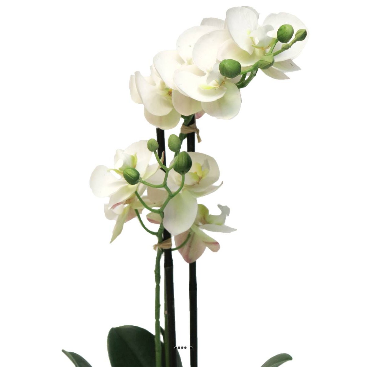 Orchidée Phalaenopsis factice en pot quali crème, ARTIFICIELLES