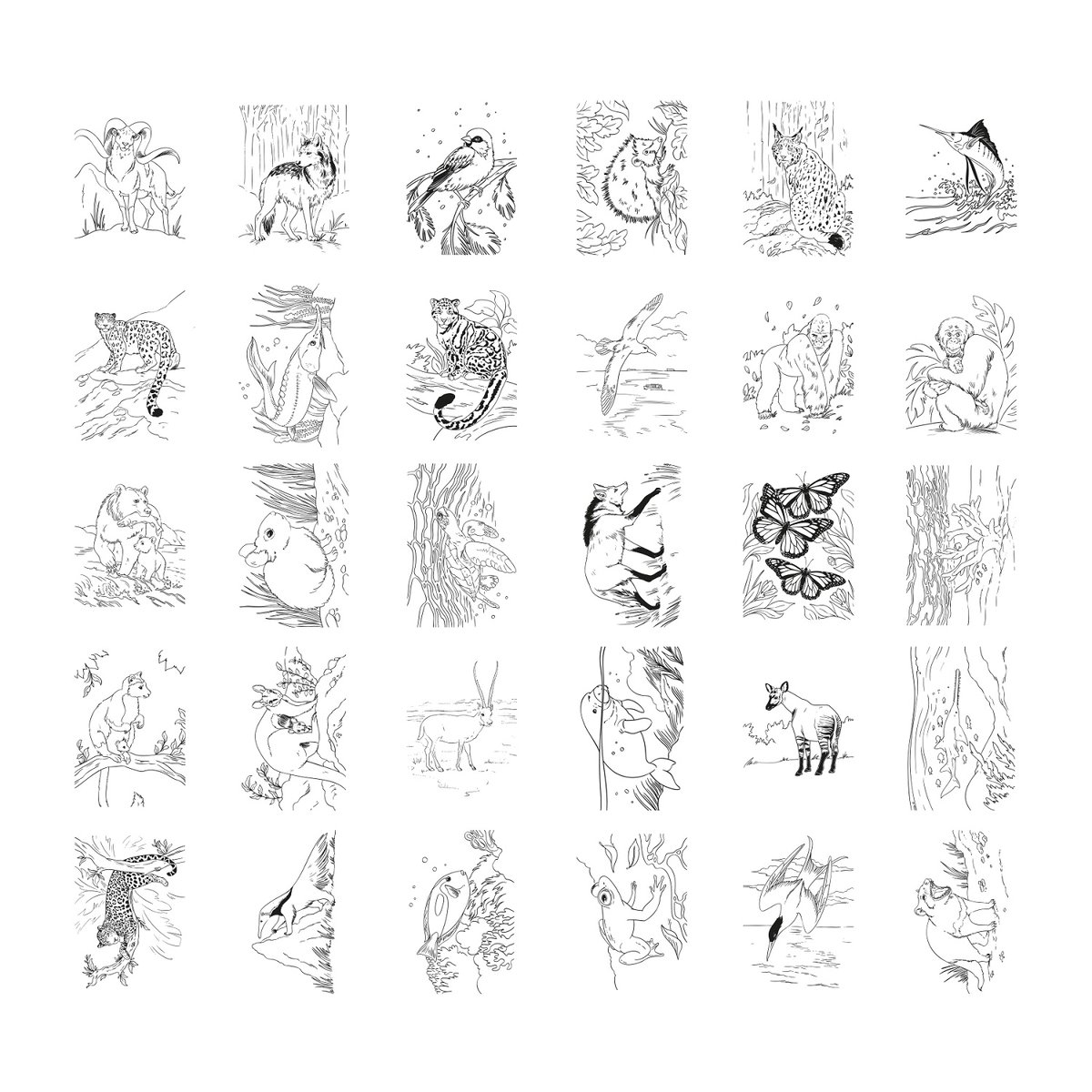 Tablette KIDYDRAW-PAD Animals bleu, KIDYWOLF